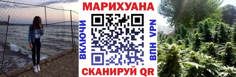Конопля гибрид  Купить где  Островной 